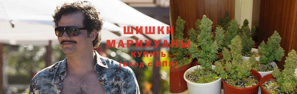 прущие крисы Гусь-Хрустальный