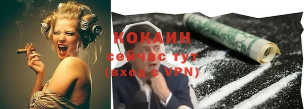 ALPHA-PVP Гусев